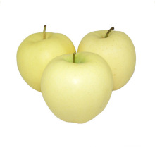 Polish apples golden delicious